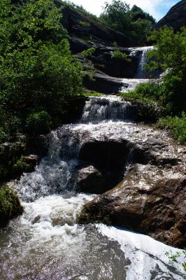 Прикрепленное изображение: DSC_0196.jpg